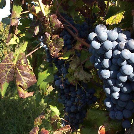 Alloggio Agrituristico Corte San Biagio Corno di Rosazzo Zewnętrze zdjęcie