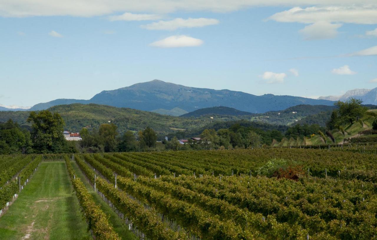 Alloggio Agrituristico Corte San Biagio Corno di Rosazzo Zewnętrze zdjęcie