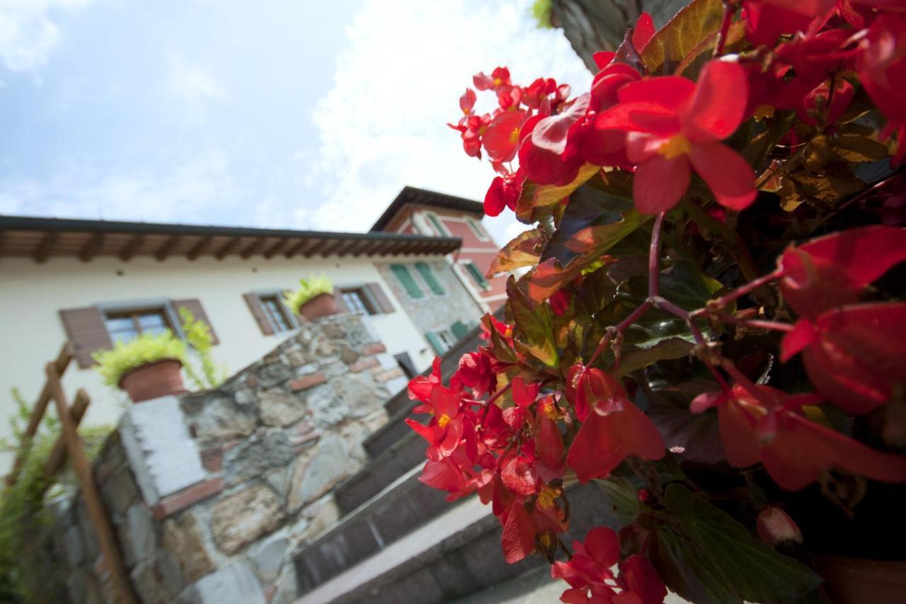 Alloggio Agrituristico Corte San Biagio Corno di Rosazzo Zewnętrze zdjęcie