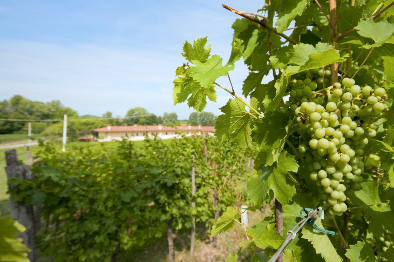 Alloggio Agrituristico Corte San Biagio Corno di Rosazzo Zewnętrze zdjęcie