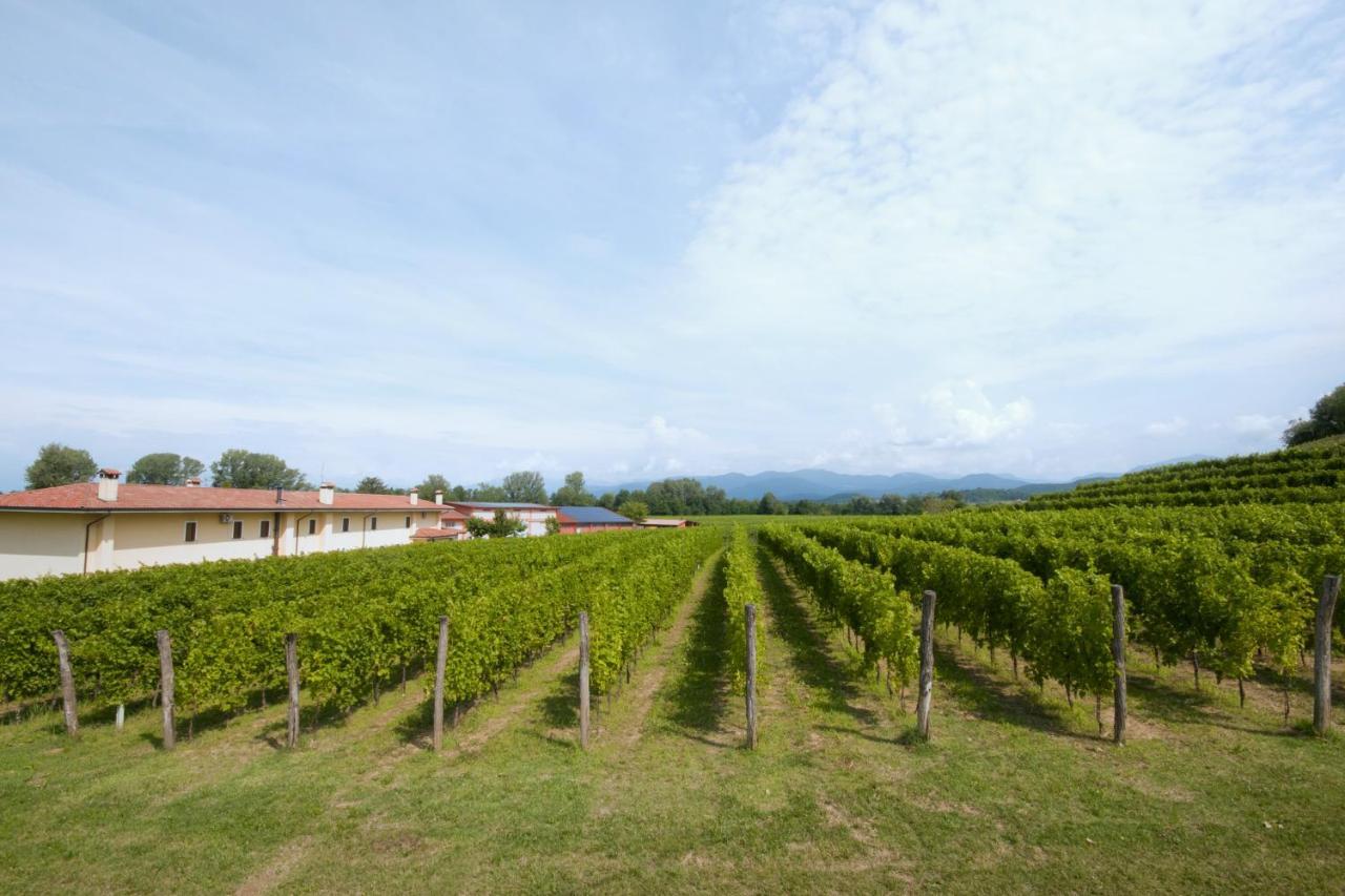 Alloggio Agrituristico Corte San Biagio Corno di Rosazzo Zewnętrze zdjęcie