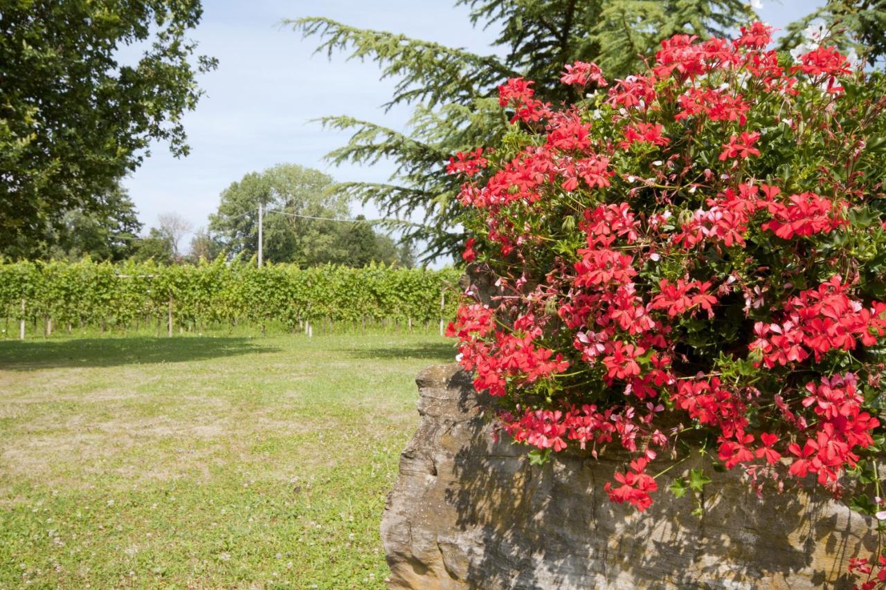 Alloggio Agrituristico Corte San Biagio Corno di Rosazzo Zewnętrze zdjęcie